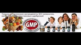 Онкология. Профилактика и лечение продукцией НСП.  ЧЕРНЕНКО О.Д.