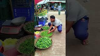 Bundle of money🫅 #funny #comedy #shortvideo