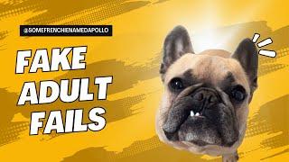 Fake Adult Fails