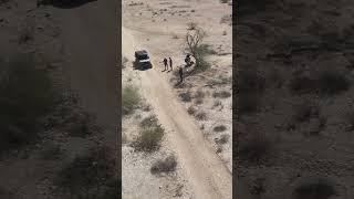 Buckeye police assist in desert rescue