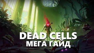 ГАЙД НА ВСЕ - DEAD CELLS