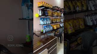 SIKRI PET CARE (NH1 Nilokheri towards Kurukshetra ) All Type of dog food & accessories available