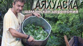 Шаманская церемония Аяхуаска. Амазонка.