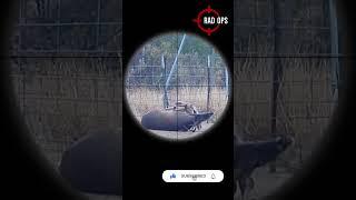 30-06 Knockdown Power ️Deer #scopecam #viral #shooting #hunting #deerhunting #gunops #shorts #vod