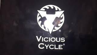 Bandai Namco Games/D3 Publisher/Vicious Cycle/Vicious Engine/Dolby Digital (2011)