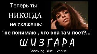 ШИЗГАРА  о чем песня Shocking Blue  Venus