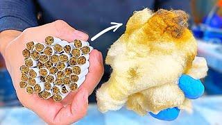 MOST EXPENSIVE vs. CHEAP CIGARETTES | WHAT WILL HAPPEN TO THE LUNGS?