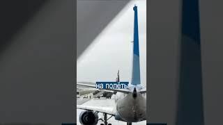 Пробки из Самолётов: В Москве Остановились Аэропорты