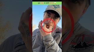 Learn to Whistle Quickly!