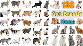 Cat Breeds Vocabulary ll 130 Cat Breeds Names In English With Pictures ll 100 Popular Cats