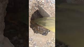 gopher hole [treatment]