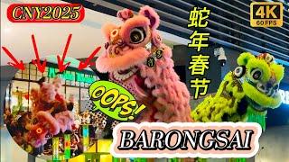 BARONGSAI ATRAKSI DETIK CEMAS HAMPIR TERJATUH‼️TARIAN SINGA 2025  ACROBATIC LION DANCE | CNY2025