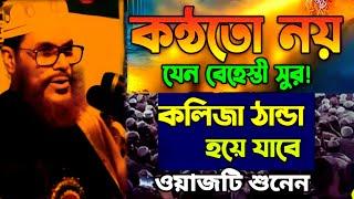 কলিজা ঠান্ডা হয়ে যাবে ওয়াজটি শুনেন | allama delwar hussain saidi waz | দেলোয়ার হোসেন সাঈদীর ওয়াজ