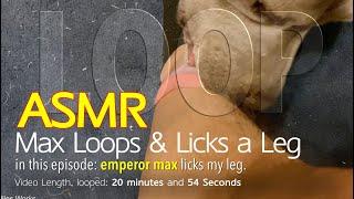 Max Loops | 20 Minutes of Leg Licking | ASMR DOG LOOPING | No Talking