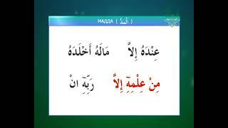 Учимся читать Коран на арабском / Урок №19 / Муаллим Сани / Изучаем правило Хуруфуль Мадда