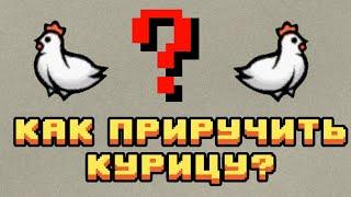 КАК ПРИРУЧИТЬ КУРИЦУ?//ДЕБИЛЬНЫЕ ЛАЙФХАКИ//RimWorld