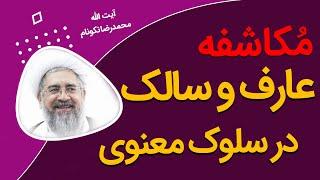 مکاشفه عارف و سالک - آیت الله محمدرضا نکونام