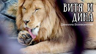 ВИТЯ и ДИНА. Небольшая экскурсия по обновлённому "Ишачку". Львы. Life of #lions​ #animals