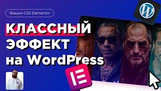 Делаю классный эффект на сайт | Уроки создания сайтов |  wordpress elementor