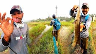 വരാൽ പിടിക്കാൻ100%റിസൾട്ടുള്ള ഫ്രോഗ്Village fishing, Traditional Fishing, Bravvo frog, Fishing tips