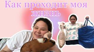 Vlog|May23‍️ |  Моя жизнь | покупочки | уборка | морские свинки 