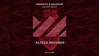 Animato vs Gaudium - Heart Beat