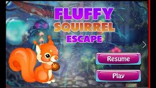 G4K Fluffy Squirrel Escape Game walkthrough