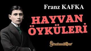 "Hayvan Öyküleri" Franz Kafka - Sesli Öyküler (Burçak Seslendiriyor)