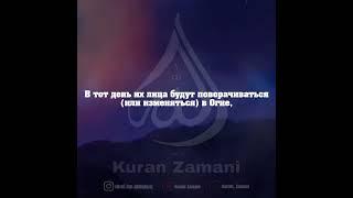 Коран🫀 #единобожие #мусульмане #таухид #ислам #коран #muslim #quran #люхайдан