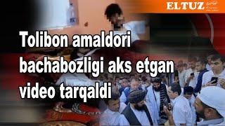 Tolibon amaldori bachabozligi aks etgan video tarqaldi