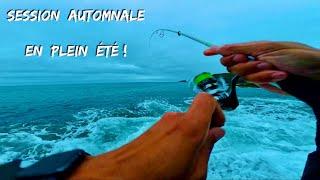 Été automne été automne été… peu importe, je suis à la pêche et les poissons sont là !! 