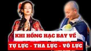 Thích Minh Tuệ: Bóng Hạc lưu lạc giữa đời thường | Minh Triết Phật Giáo