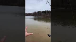 Такого он явно не ожидал #рыбалка