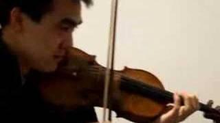 NES Super Mario Bros 2 on Violin by Ben Chan - Classic!