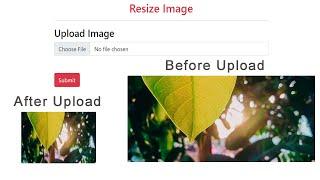 Resize Image Using Intervention Image Library