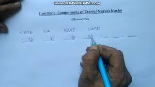 Mnemonic Functional Components of Cranial Nerves Nuclei