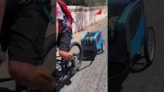 A brief ride in Sierra Vista in a #Schwinn Rascal trailer