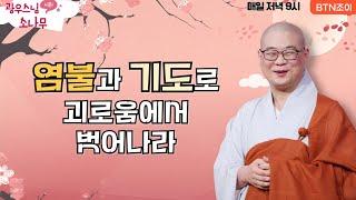 염불과 기도로 괴로움에서 벗어나라ㅣ광우스님의 소나무 2편 모아보기