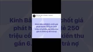 Kinh Bắc (#KBC) chốt giá phát hành riêng lẻ 250 triệu cổ phiếu, dự kiến thu gần 6.000 tỷ để trả nợ