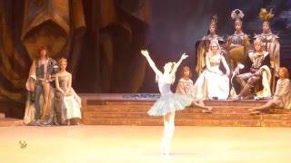 Anna Nikulina in "Raymonda" - variations - 11.02.16