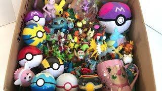 Box Full of Pokemon Toys Master Ball & Cosmog Pokemon Evolutions Totodile Treecko Bulbasaur EEVEE