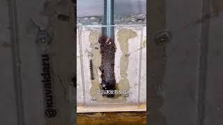 不可思议的螺栓树脂胶囊，专门用来固定锚栓，比膨胀螺栓都结实#科普 #知识 #冷知识