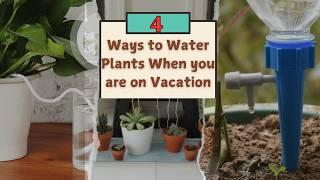 4 Life-Saving Plant Watering Hacks for Your Next Vacation!