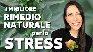 Il migliore (e più antico) rimedio naturale per combattere lo STRESS