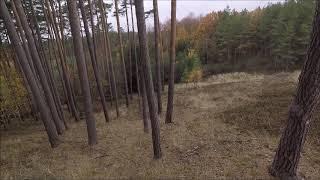 Wild boar driven hunting in Czech Republic 03 11 2018 part 2