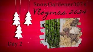 Vlogmas 2024 Day 2 • Ruggable Rug • Beef Stroganoff