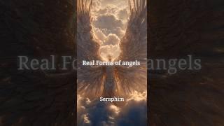 Angels of True Form
