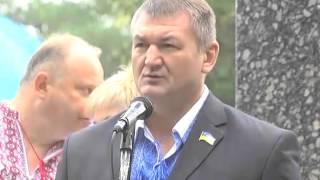 День Незалежності України 2015 в Жашкові