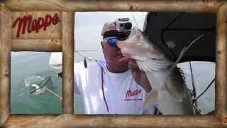 Mepps Walleye Trolling Rig & Crawler Harness Features -Wire (pt1)