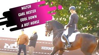 Watch Carl Hester Ride A Hot Horse In The Grand Prix Dressage Warm Up